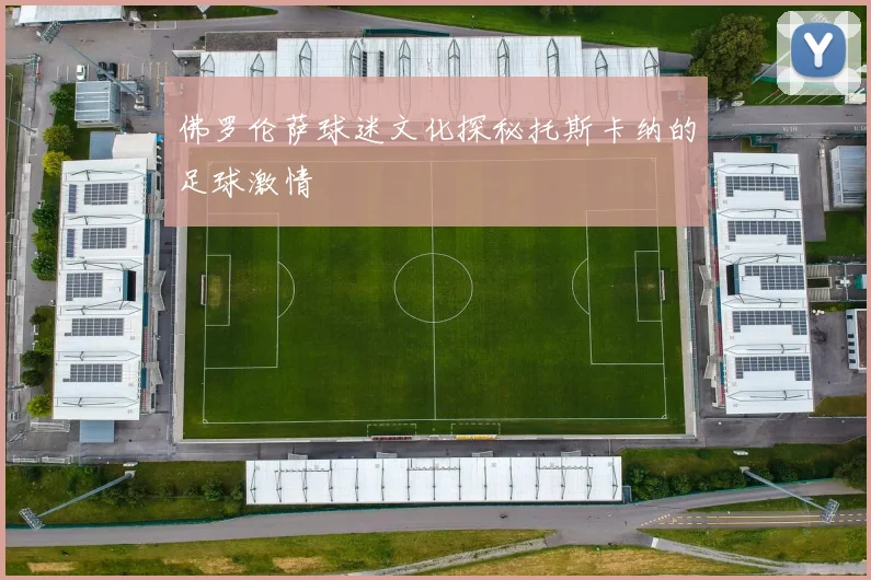佛罗伦萨球迷文化探秘托斯卡纳的足球激情