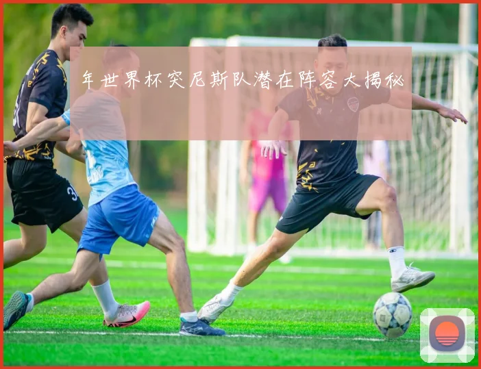 年世界杯突尼斯队潜在阵容大揭秘