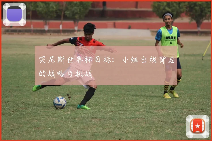 突尼斯世界杯目标：小组出线背后的战略与挑战